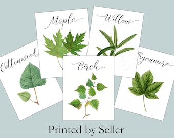 Woodland Leaf Table Cards, Woodland Table Tents, Wedding Tree Cards, Wedding Leaf Cards, Green Leaf Escort Cards, Woodland Name Cards