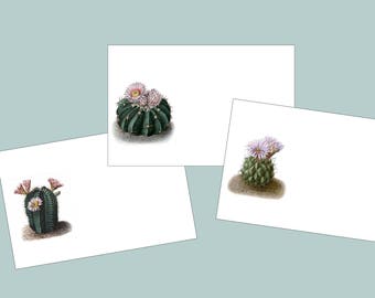 Spring place cards | Etsy