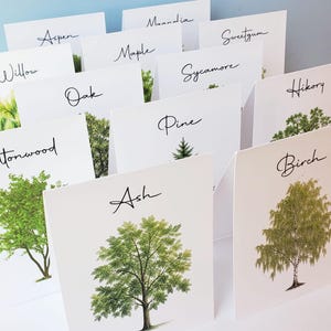 May include: A collection of white greeting cards featuring detailed botanical illustrations of various trees including Ash, Birch, Cottonwood, Pine, Oak, Willow, Maple, Sycamore, Hickory, Sweetgum, Aspen, and Magnolia, each labeled with black cursive text.