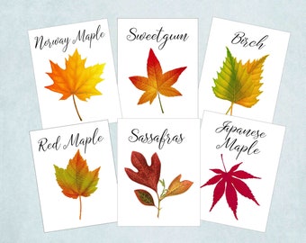 Autumn Leaf Table Cards, Autumn Leaf Table Tents, Autumn Wedding Table Cards, Thanksgiving Table Card, Autumn Fall Event, Harvest Table