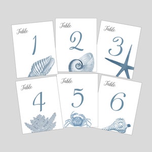 Shell Table Numbers, Beach Wedding, Shell Cards, Surf and Turf Wedding, Tropical Table Numbers, Wedding near the Sea image 2
