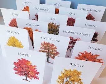 Autumn Tree Table Cards, Autumn Tree Table Tents, Autumn Wedding Table Cards, Thanksgiving Table Card, Autumn Fall Event, Harvest Table
