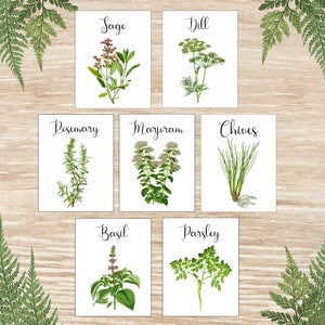 Herb Table Cards Herb Table Numbers Herb Table Tents Herb - Etsy