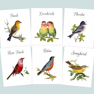 Bird Table Cards W/ BIRD NAMES, Wedding Table Cards, Vintage Bird Illustrations, Bird Theme, Table Tents,