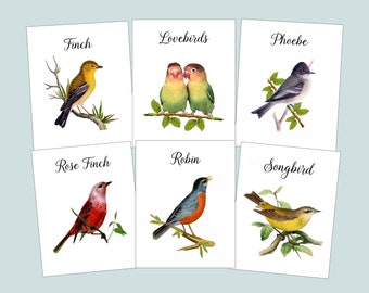 Bird Table Cards W/ BIRD NAMES, Wedding Table Cards, Vintage Bird Illustrations, Bird Theme, Table Tents,