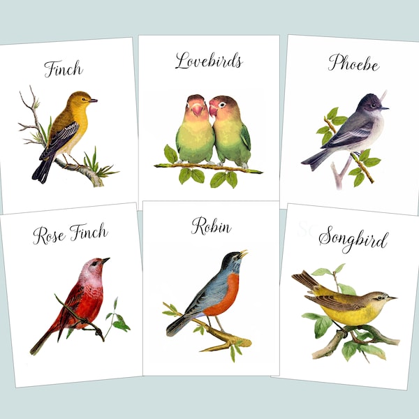 Bird Table Cards W/ BIRD NAMES, Wedding Table Cards, Vintage Bird Illustrations, Bird Theme, Table Tents,