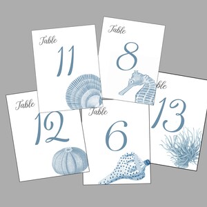 Shell Table Numbers, Beach Wedding, Shell Cards, Surf and Turf Wedding, Tropical Table Numbers, Wedding near the Sea image 3