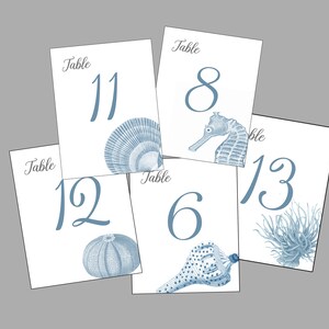 Shell Table Numbers, Beach Wedding, Shell Cards, Surf and Turf Wedding ...