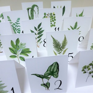 May include: A set of 11 table number cards featuring different types of ferns and greenery. The cards are white with black numbers and are arranged in a fan shape.