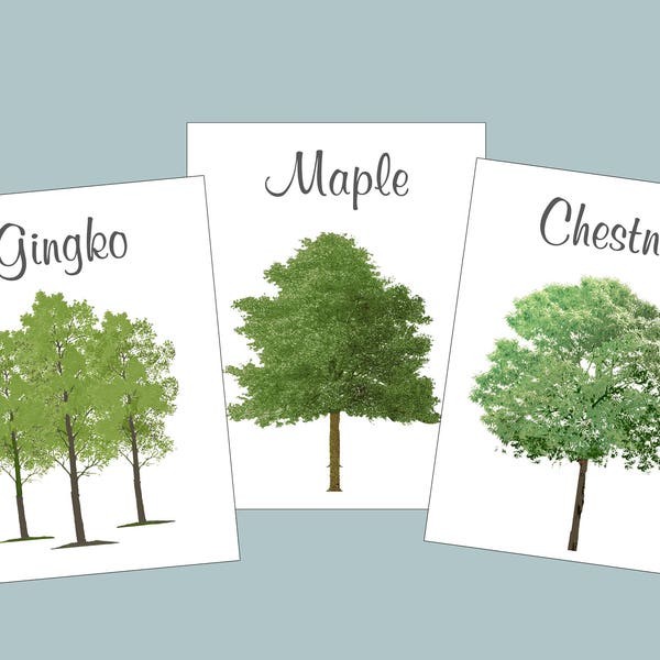 Tree Table Cards, Botanical  Cards, Woodland Table Tents, Wedding Table Numbers, Wedding Tree Cards, Woodland Tree Table Cards