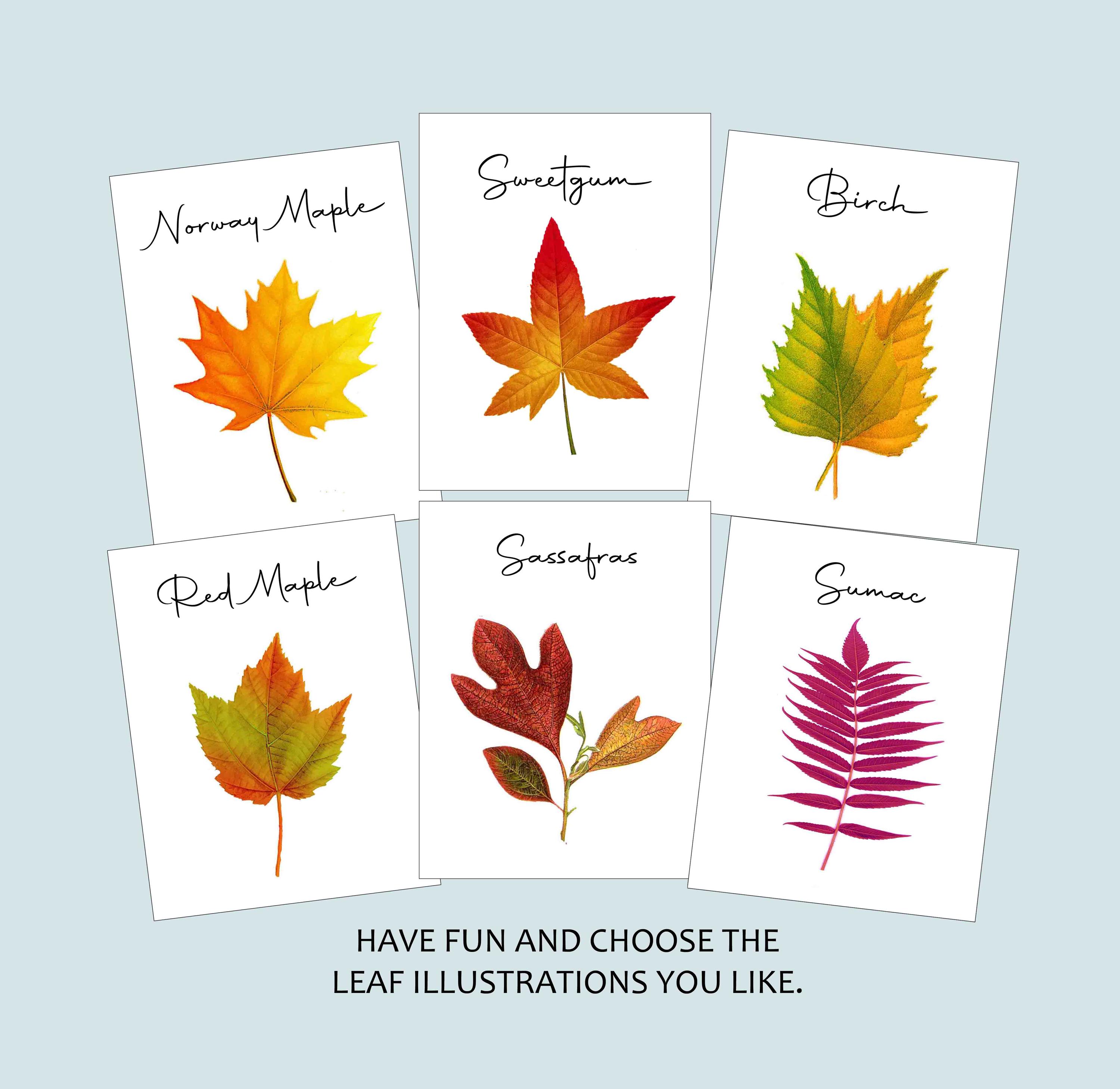 Autumn Leaf Table Cards, Autumn Leaf Table Tents, Autumn Wedding Table Cards, Thanksgiving Table Card, Autumn Fall Event, Harvest Table