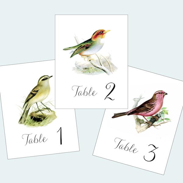 Bird Table NUMBERS, Bird table tent cards, Wedding Table Cards with Bird Illustrations