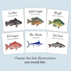 May include: A set of nine illustrated fish cards, each featuring a different species of fish with its scientific name and common name. The fish are depicted in a realistic style with vibrant colors and detailed features. The cards are arranged in a grid pattern on a light blue background.