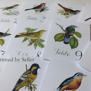 Bird Table NUMBERS, Bird table tent cards, Wedding Table Cards with Bird Illustrations