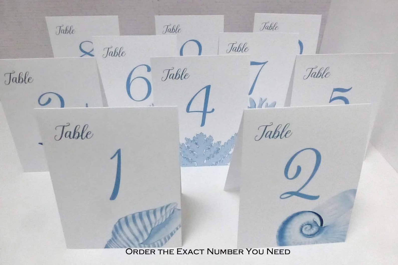 Shell Table Numbers Beach Wedding Shell Cards Surf and Turf - Etsy