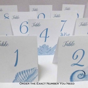 Shell Table Numbers, Beach Wedding, Shell Cards, Surf and Turf Wedding, Tropical Table Numbers, Wedding near the Sea image 4