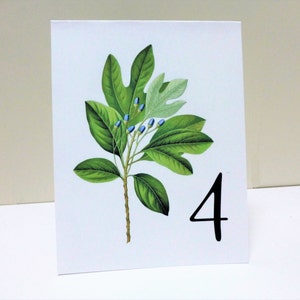 Woodland Leaf Table Cards, Botanical Table Tents, Woodland Leaf Numbers, Wedding Decor, Woodland Wedding Cards, Woodland Table Tents image 5