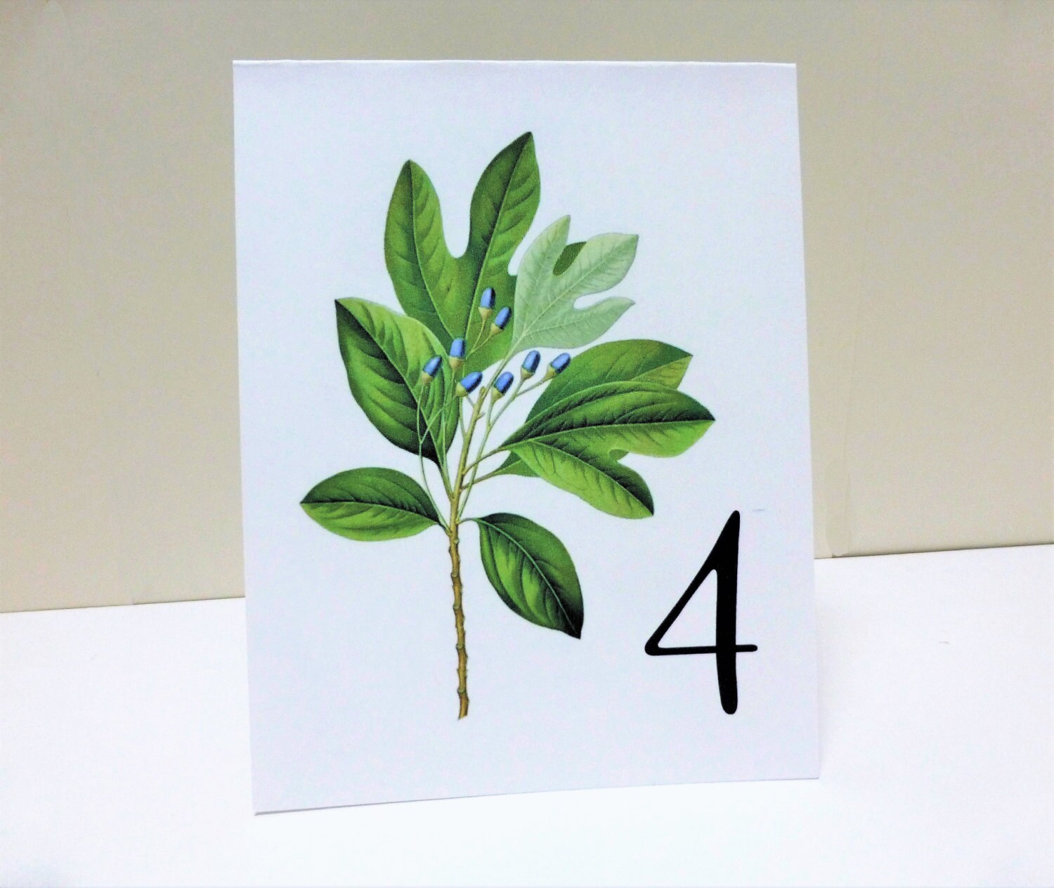 Woodland Leaf Table Cards Botanical Table Tents Woodland Etsy