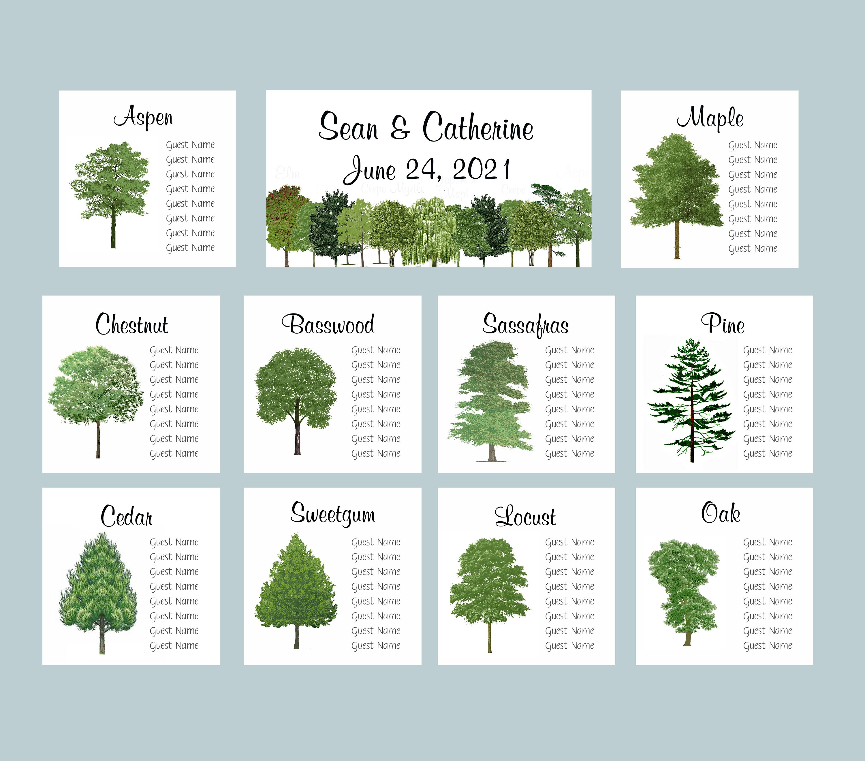 Green Tree Seating Cards Table Assignment Charts Seating | Etsy