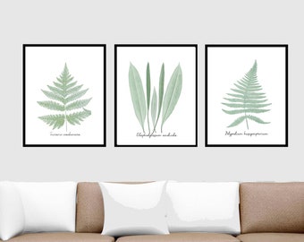 Set of 3, Download Modern Green Ferns, Soft Green Fern Botanicals, Print at Home,  Unique and Modern Twist on Vintage Botanicals