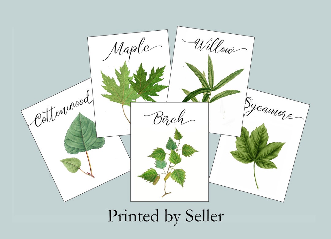 Woodland Leaf Table Cards, Woodland Table Tents, Wedding Tree Cards