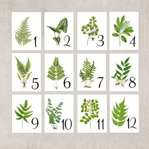 Woodland Leaf Table Cards, Botanical Table Tents, Woodland Leaf Numbers, Wedding Decor, Woodland Wedding Cards, Woodland Table Tents image 6