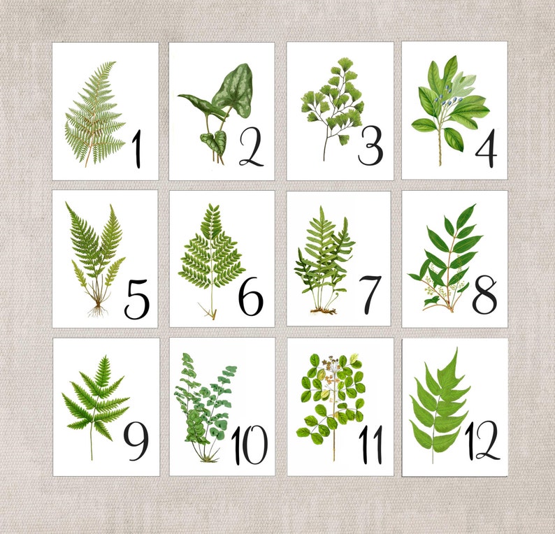 Woodland Leaf Table Cards, Botanical Table Tents, Woodland Leaf Numbers, Wedding Decor, Woodland Wedding Cards, Woodland Table Tents image 6