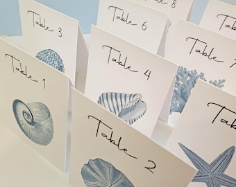 Blue or Aqua Shell Cards, Beach Wedding, Shell Table Numbers, Surf and Turf Wedding, Tropical Table Numbers, Wedding near the Sea