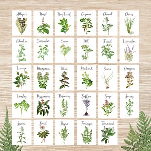 Herb Table Cards Herb Table Numbers Herb Table Tents Herb - Etsy