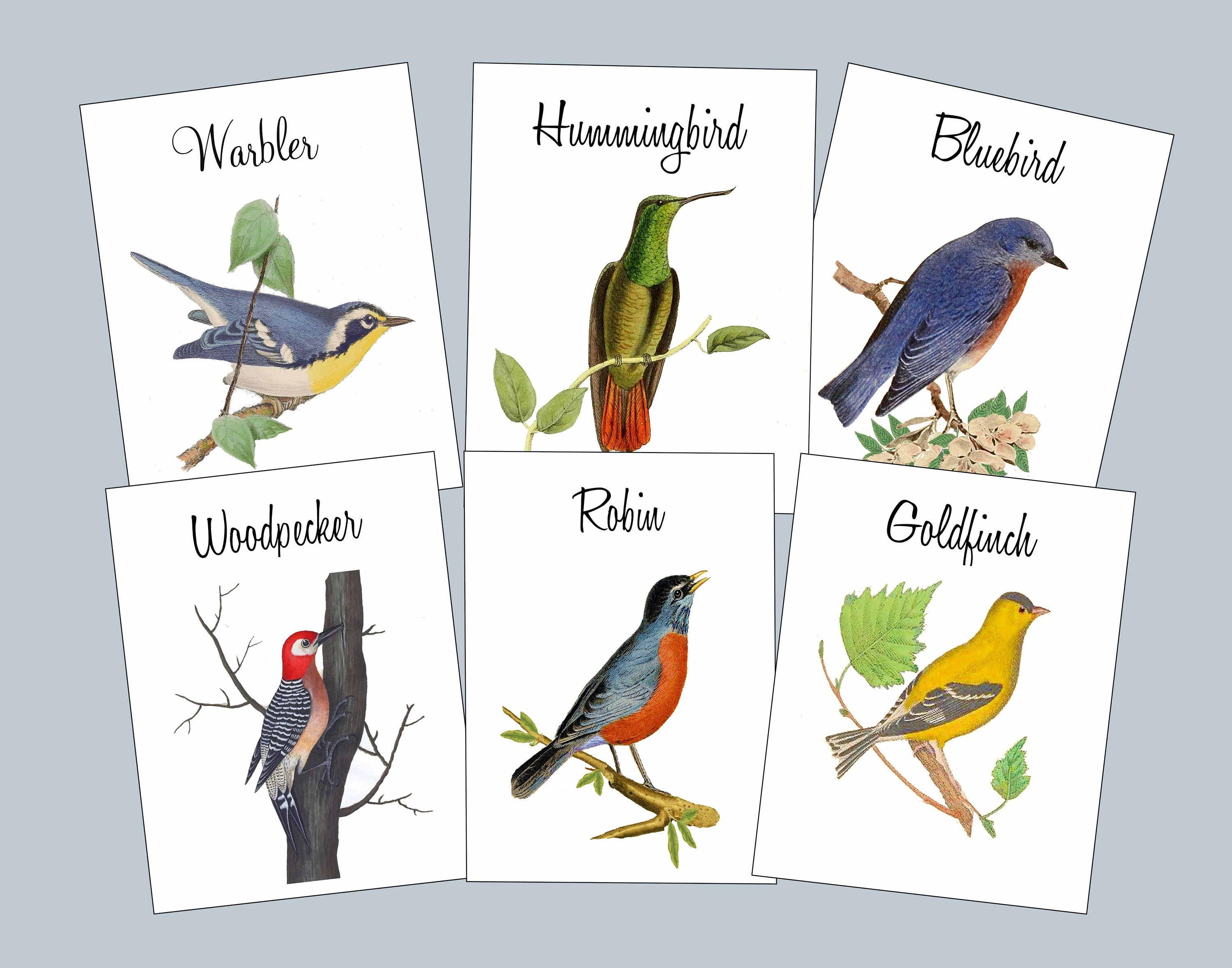 Bird Table Cards W/ BIRD NAMES Wedding Table Cards Vintage - Etsy