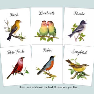 May include: Six illustrated cards featuring different types of birds. Each card has a white background with a black title and a colorful illustration of a bird. The titles are: Finch, Lovebirds, Phoebe, Rose Finch, Robin, and Songbird.
