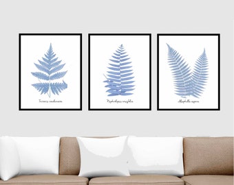 Set of 3 Modern Ferns, Download Botanical Prints, Unique and Modern Twist on Vintage Botanicals