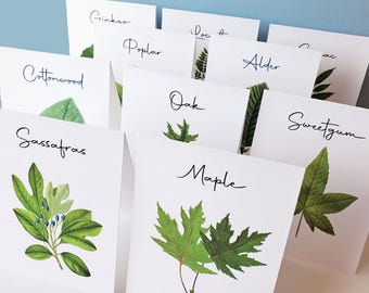 Woodland Leaf Table Cards, Table Tents, Tree Table Numbers, Nature Themed Party or Wedding, Tented and Flat Cards are both available