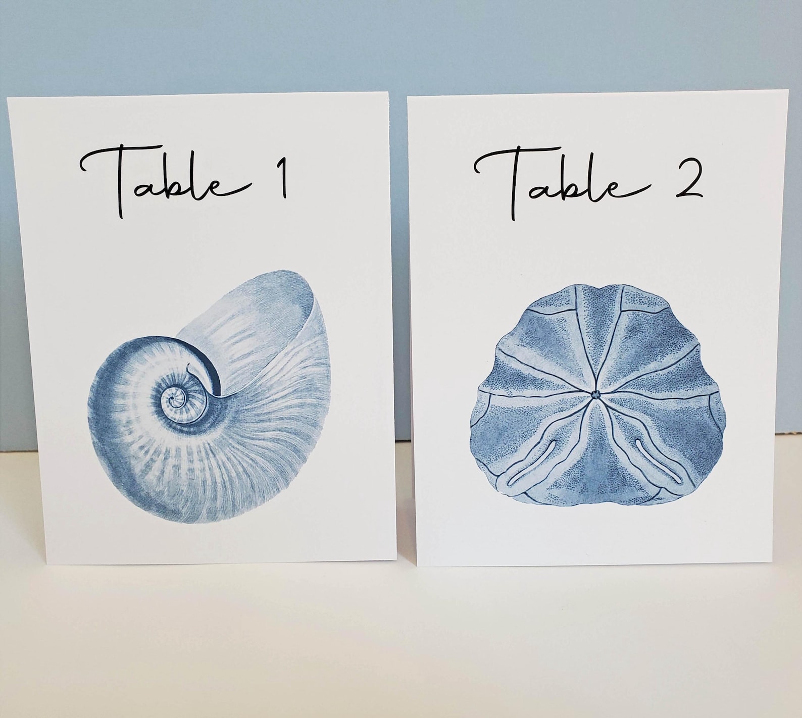 Blue or Aqua Shell Cards, Beach Wedding, Shell Table Numbers, Surf and ...