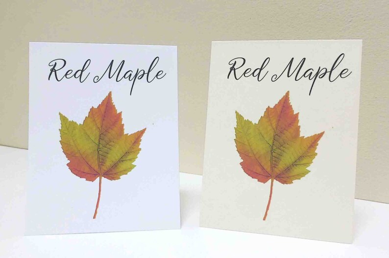 Autumn Leaf Table Cards Autumn Leaf Table Tent Autumn Etsy