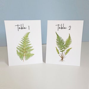 FERN Table Cards, Fern Table Numbers, Woodland Table Tents, Wedding Table Cards, Wedding Botanicals, Fern Wedding Cards, Garden Table image 1