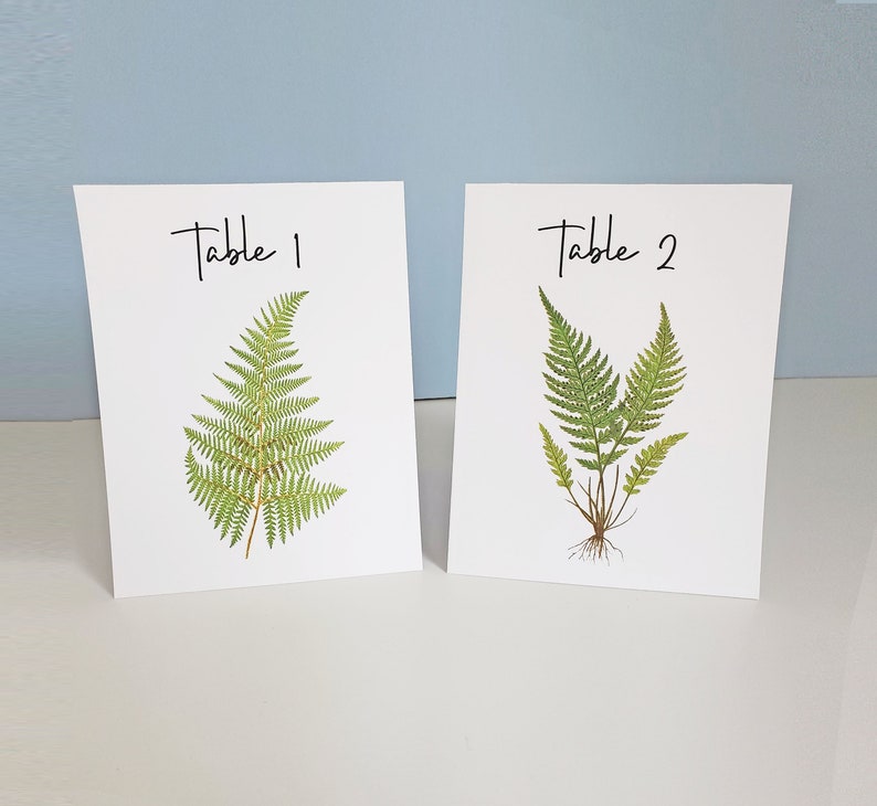 FERN Table Cards, Fern Table Numbers, Woodland Table Tents, Wedding Table Cards, Wedding Botanicals, Fern Wedding Cards, Garden Table image 1
