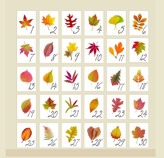 Autumn Leaf Table Cards Autumn Leaf Table Tent Autumn Etsy