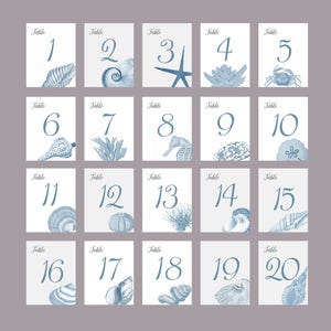 Shell Table Numbers, Beach Wedding, Shell Cards, Surf and Turf Wedding, Tropical Table Numbers, Wedding near the Sea image 7