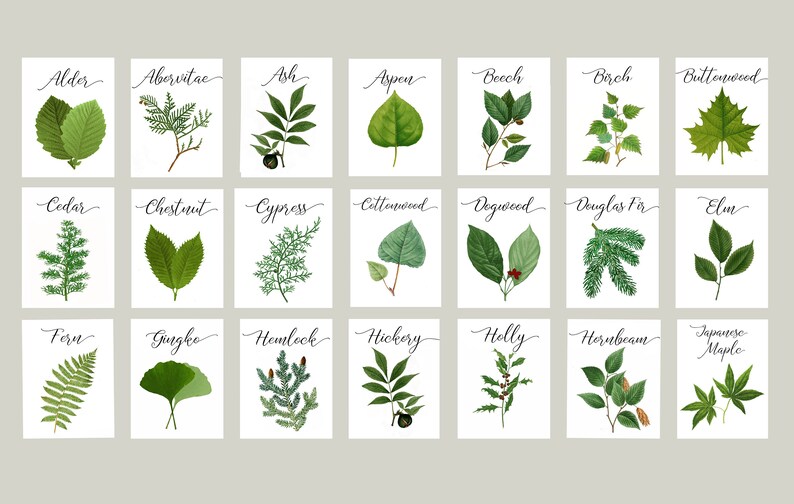 Woodland Leaf Table Cards Woodland Table Tents Wedding Tree Etsy