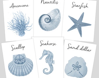 Shell Name Table Cards, Beach Wedding, Shell Cards,  Surf and Turf Wedding, Tropical Table Numbers, Wedding near the Sea