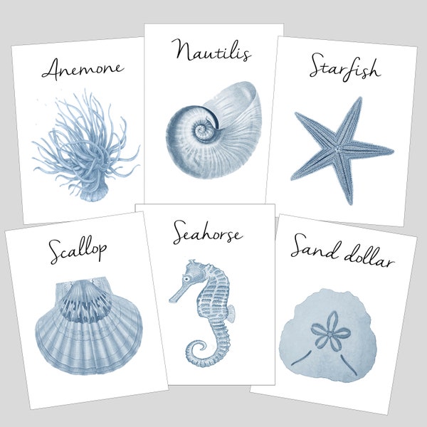 Shell Name Table Cards, Beach Wedding, Shell Cards,  Surf and Turf Wedding, Tropical Table Numbers, Wedding near the Sea