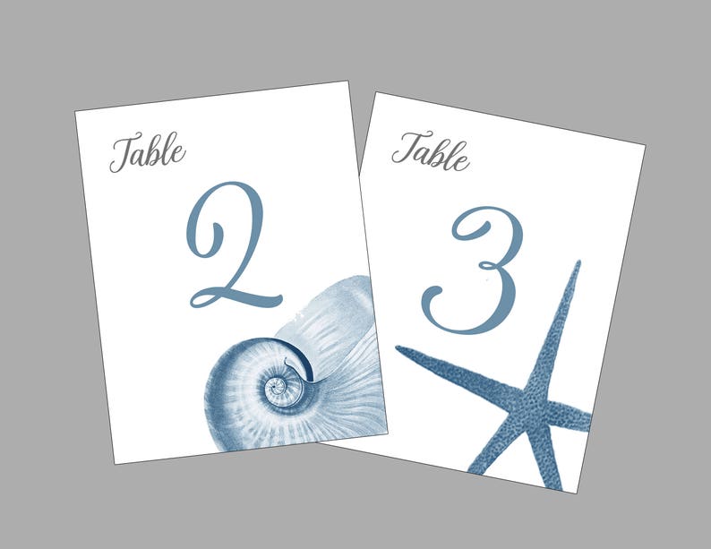 Shell Table Numbers, Beach Wedding, Shell Cards, Surf and Turf Wedding, Tropical Table Numbers, Wedding near the Sea image 5