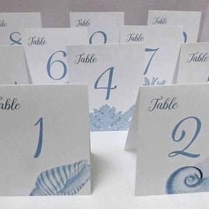 Shell Table Numbers, Beach Wedding, Shell Cards, Surf and Turf Wedding, Tropical Table Numbers, Wedding near the Sea image 1