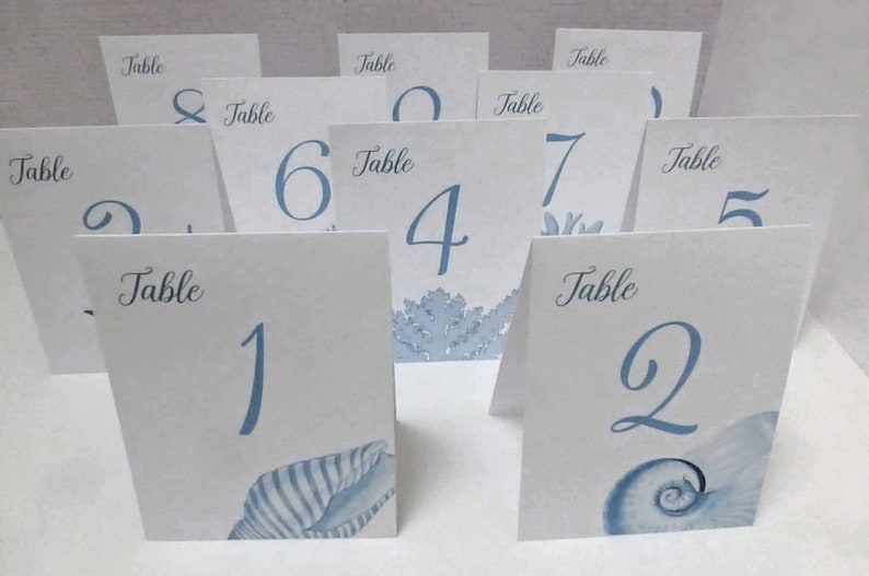 Shell Table Numbers, Beach Wedding, Shell Cards, Surf and Turf Wedding, Tropical Table Numbers, Wedding near the Sea image 1