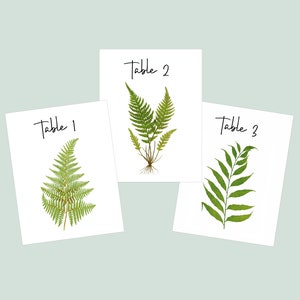 FERN Table Cards, Fern Table Numbers, Woodland Table Tents, Wedding Table Cards, Wedding Botanicals, Fern Wedding Cards, Garden Table image 2