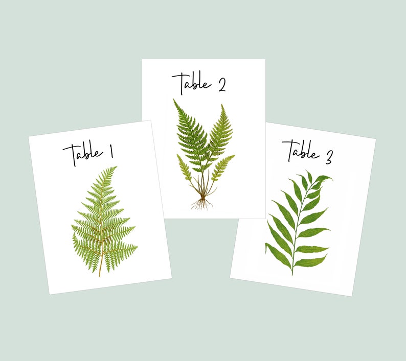 FERN Table Cards, Fern Table Numbers, Woodland Table Tents, Wedding Table Cards, Wedding Botanicals, Fern Wedding Cards, Garden Table image 2