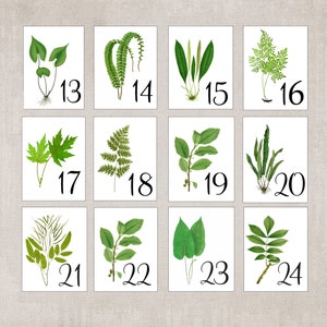 Woodland Leaf Table Cards, Botanical Table Tents, Woodland Leaf Numbers, Wedding Decor, Woodland Wedding Cards, Woodland Table Tents image 7