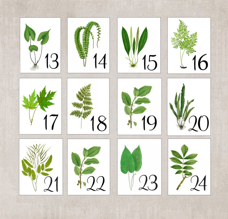 Woodland Leaf Table Cards, Botanical Table Tents, Woodland Leaf Numbers, Wedding Decor, Woodland Wedding Cards, Woodland Table Tents image 7