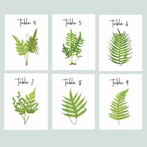 FERN Table Cards, Fern Table Numbers, Woodland Table Tents, Wedding Table Cards, Wedding Botanicals, Fern Wedding Cards, Garden Table image 3